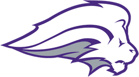 Nelson University banner logo